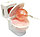Карамель леденцовая SOUR FLASH "Унитазик" 3 вкуса 15гр (24шт в упаковке) /KIDSMANIA Китай/Кидсмания, фото 5