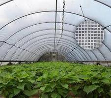 Пленка армированная 180 гр/м2  2 м * 25 м