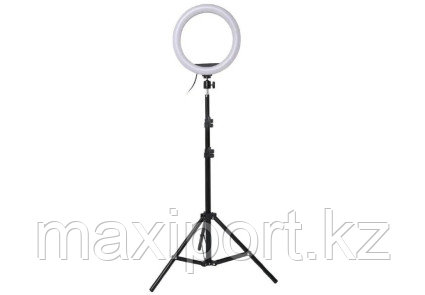 Кольцевая лампа LED RING s31 31см с держателем для смартфона штатив 50-210см регулируется, фото 2