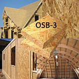 OSB-3 (ОСБ 3) влагостойкая плита 1250х2500х10, отличное качество +7 707 570 5151, фото 3