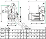 Вакуумный насос SHIMGE PW370, фото 7