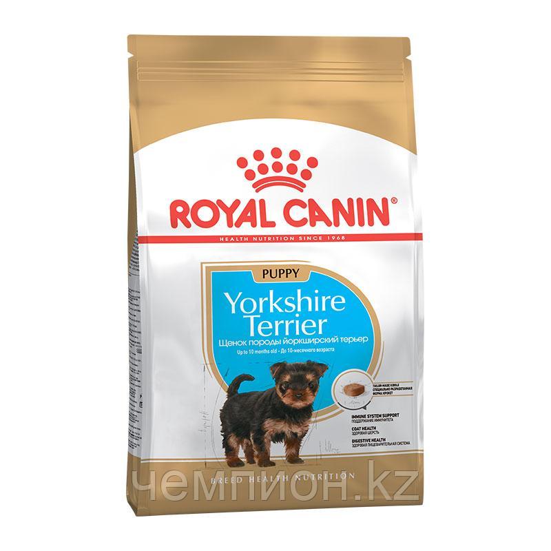 ROYAL CANIN Yorkshire Terrier Puppy, Роял Канин ком для щенков породы Йоркширский терьер, уп. 1,5 кг - фото 1 - id-p79916931