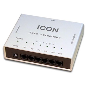 Автосекретарь ICON AA453USB