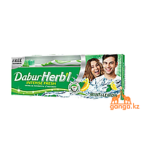 Гелевая Зубная паста Мята и Лимон (Mint & Lemon DABUR HERB'L) 150г + зубная щетка