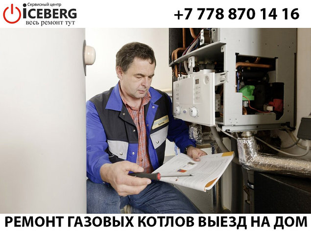 Ремонт, настройка, чистка и обслуживание газовых котлов Daewoo, фото 2