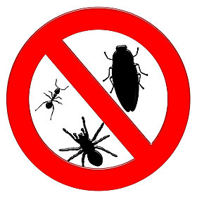 Санитарная дезинсекция