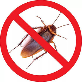 Дезинсекция предприятий