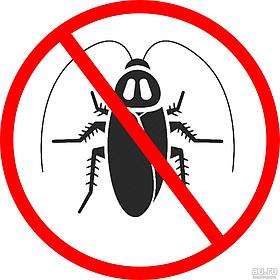 Дезинсекция от тараканов