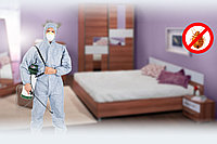 Дезинсекция от клопов