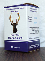 Панты марала в капсулах