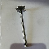 12915-54G50, 12915-54G00, SB-37-0, Клапан выпускной SUZUKI SX4 RW415, RW416, LIANA RH416, GRAND VITARA JB416, ROCKY, фото 2