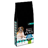 Pro Plan Adult Large Robust Sensitive Digestion, Про План для собак крупных пород с ягнёнком, уп.14кг., фото 8