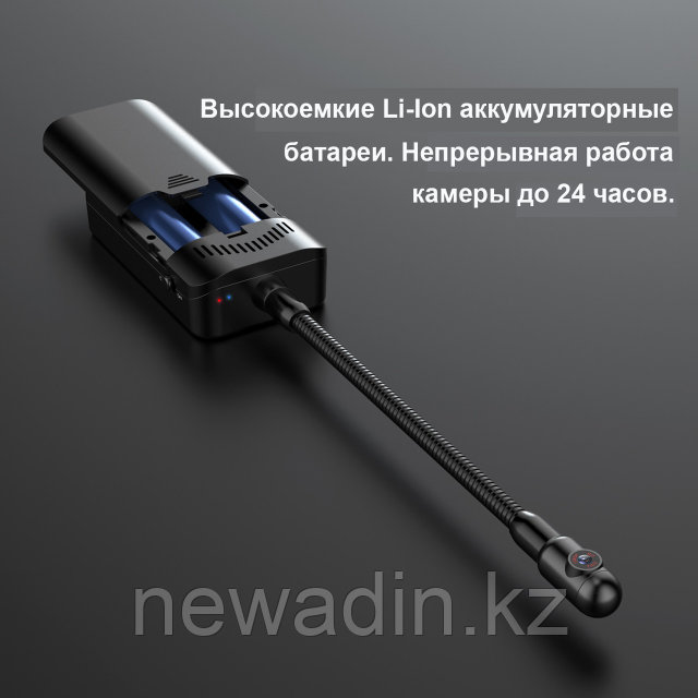 Алдау әйелі сорады мүшесі және сперму