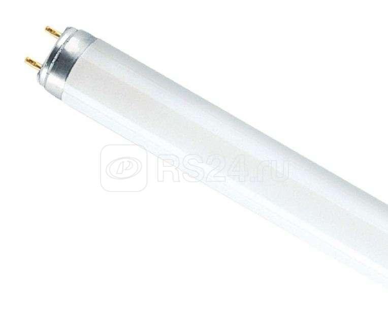 Лампа люминесцентная L 36W/840 LUMILUX 36Вт T8 4000К G13 смол. OSRAM 4008321581419 - фото 1 - id-p80104512