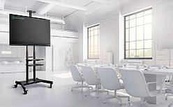 Стойка мобильная для телевизора, панелей 55" - 86", ONKRON TS1881