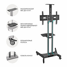 ONKRON TS1551 стойка мобильная для телевизора от 32" до 70", фото 2