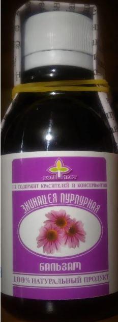 Эхинацея пурпурная, настойка, 100 мл
