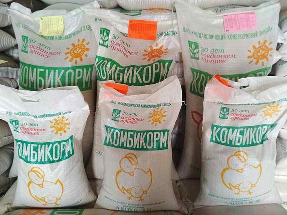 Комбикорм Богданович ПК-5М для цыплят бройлеров с 1-14день, фото 1