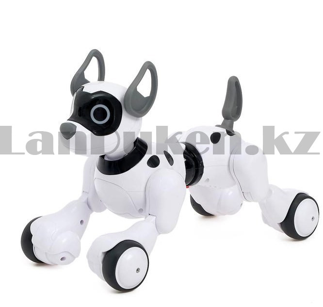 Игрушка Робот собака на батарейках танцующая музыкальная на радиоуправлении JZL 20173-1 - фото 10 - id-p80156319
