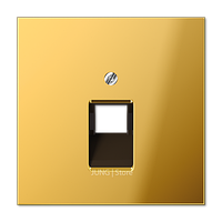 LSmetal Накладка для комп. розетки 1хRJ45, золот.