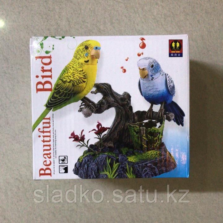Игрушка поющие попугайчики 2 штуки в комплекте - фото 1 - id-p80177051