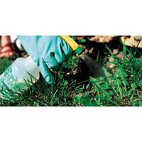 Уничтожение сорняков огорода