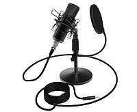 Студийный микрофон Ritmix RDM-175 черный TAK24183 Студийный микрофон Ritmix RDM-175 черный
