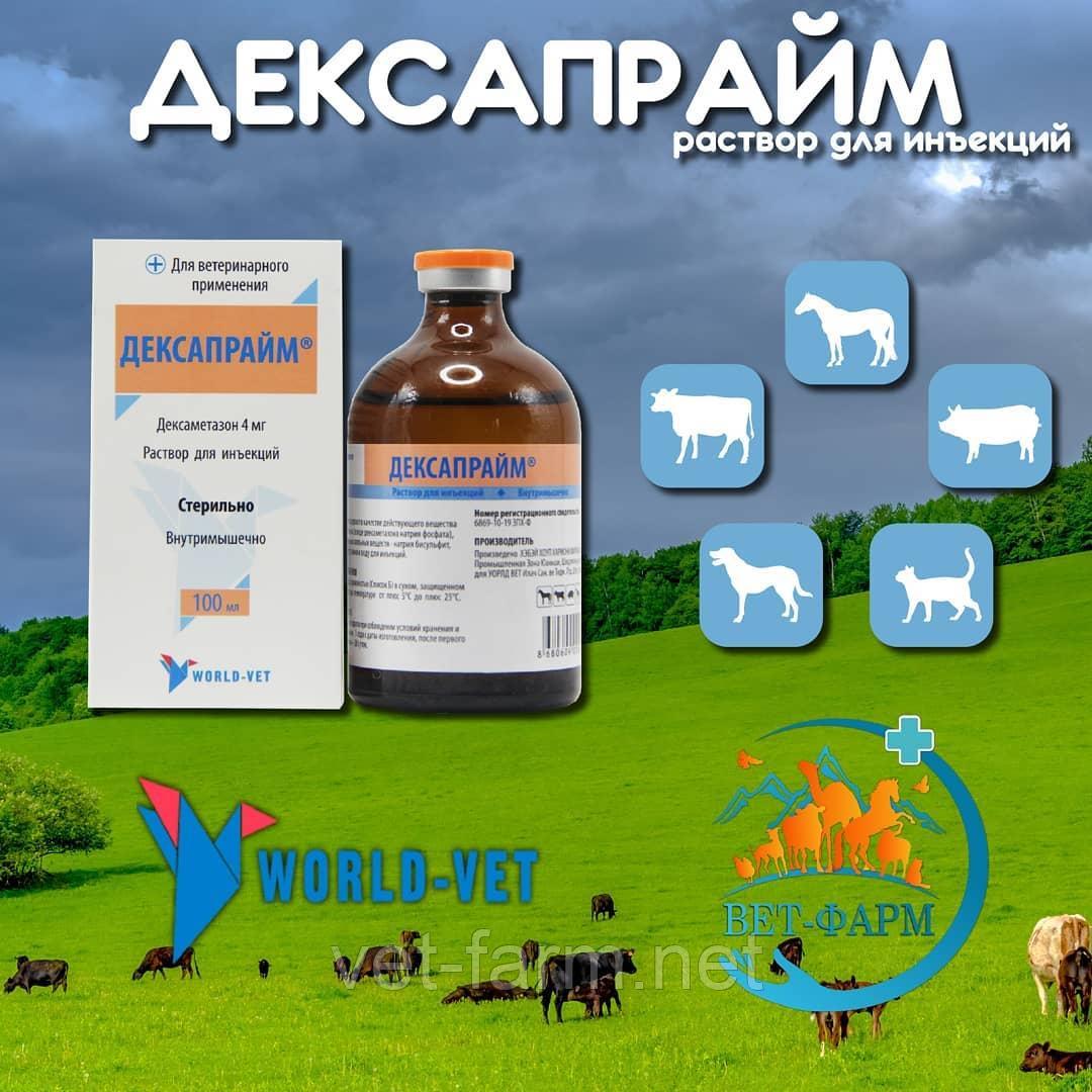 Дексапрайм раствор для иньекций