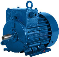 Электродвигатель крановый MTКF(H) 412-8 (h-225); 22 кВт/715