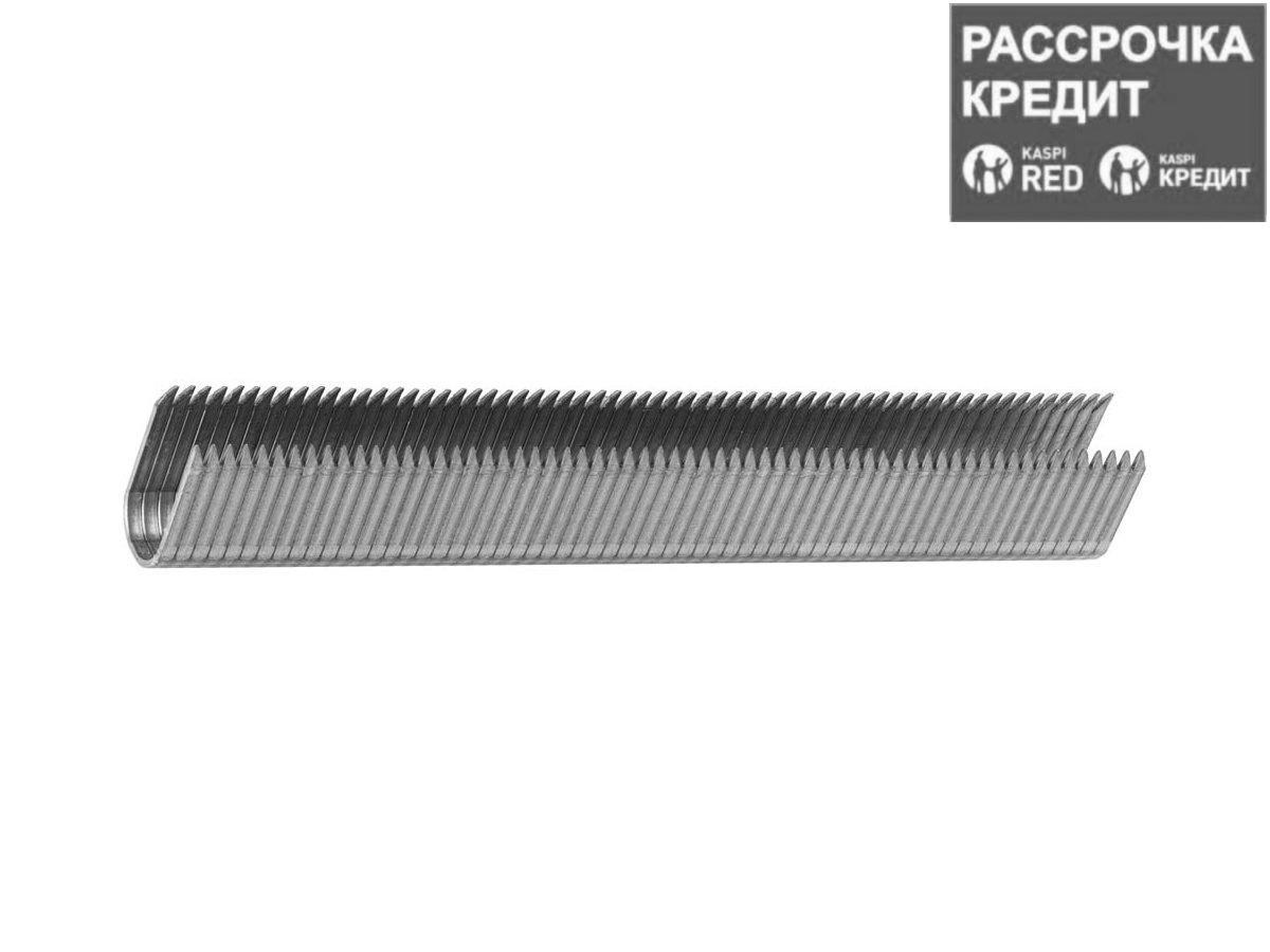 ЗУБР 14 мм скобы для степлера кабельные тип 36, 1000 шт (31612-14_z01)