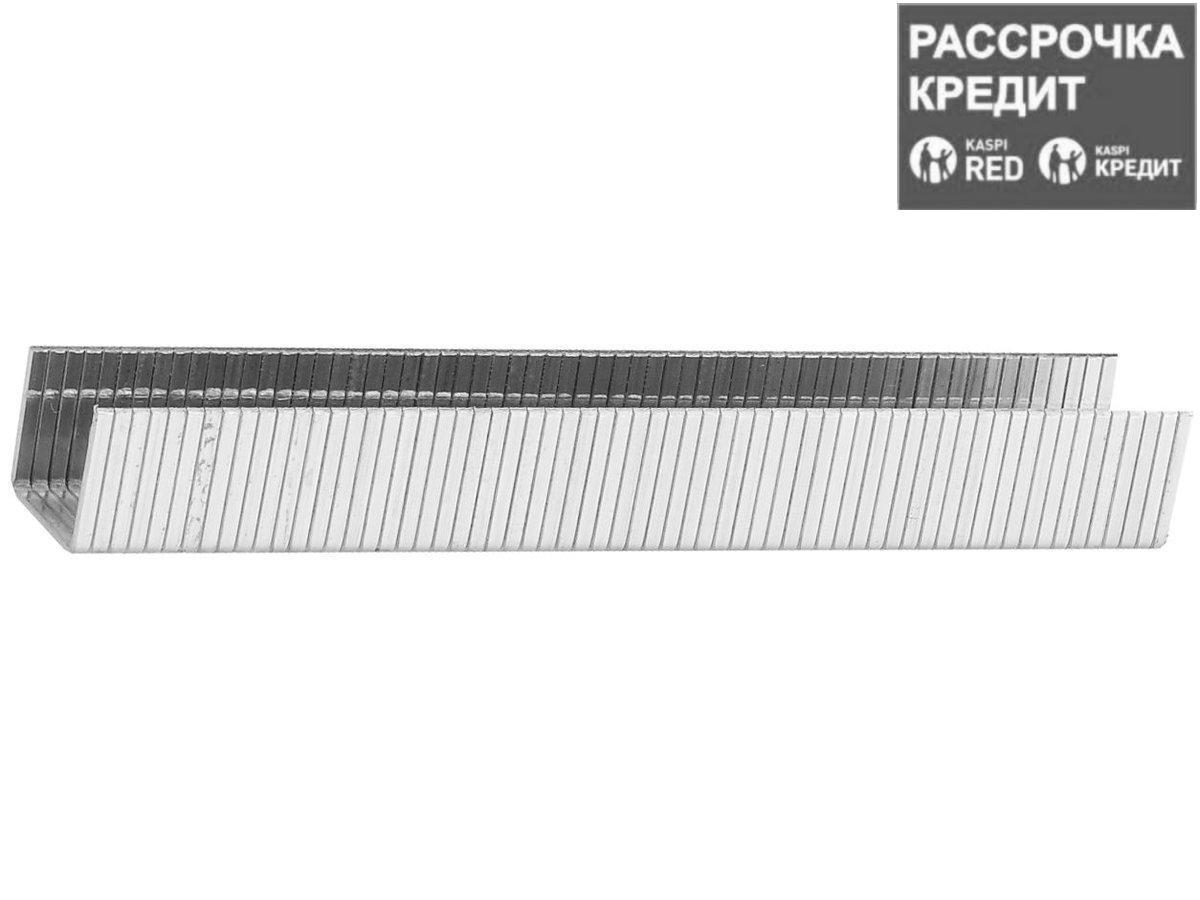 STAYER 6 мм скобы для степлера плоские тип 140, 1000 шт (31610-06) - фото 1 - id-p4256626