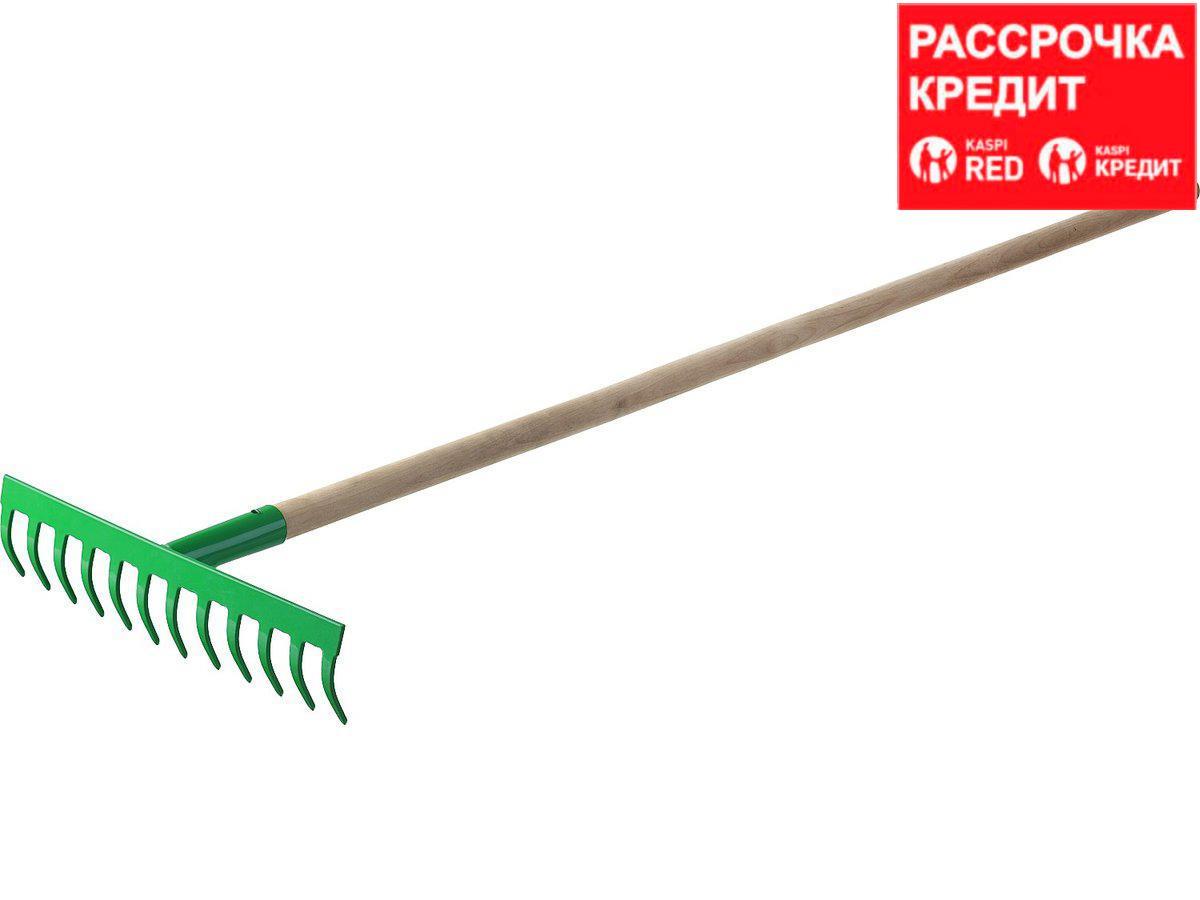 Купить Грабли прямые РОСТОК 421901-12, садовые, с черенком, 12 зубцов в ...