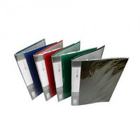 Папка c 10 файлами А4 Deli 38144 ассорти