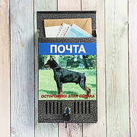 Ящик почтовый с замком, вертикальный, «Фото», МИКС, серебристый