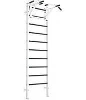 Шведская стенка EffectSport металлическая ПРОФ-ТБ