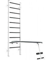 Шведская стенка EffectSport металлическая ПРОФ-ДГУ