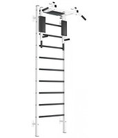 Шведская стенка EffectSport металлическая ПРОФ-ТБПШ