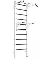 Шведская стенка EffectSport металлическая ПРОФ-ТФ-Б