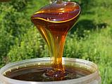 Майский мед (Алтай), 1 кг, фото 3