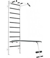 Шведская стенка EffectSport металлическая ПРОФ-ТФ-ДГУ