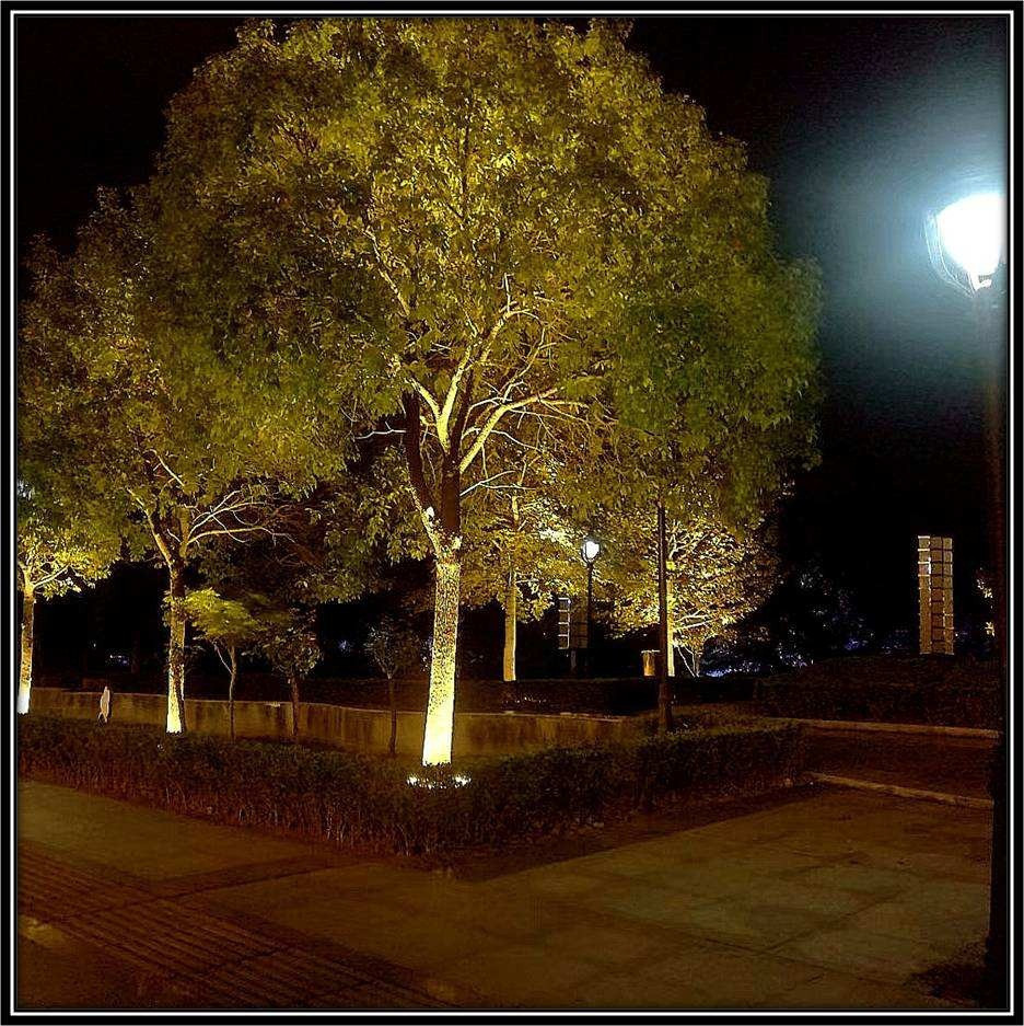 Светодиодный светильник для освещения деревьев 18Вт Теплый белый - фото 3 - id-p80699089