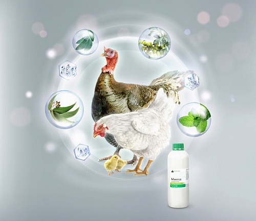 Минтов 1литр (комплекс эфирных масел и ментол )