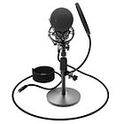Студийный микрофон Ritmix RDM-175 (Black)