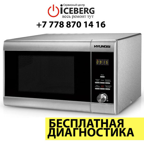 Ремонт микроволновых печей Hyundai, фото 2