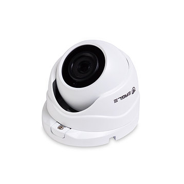 Купольная видеокамера EAGLE EGL-NDM480, фото 2