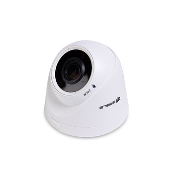 Купольная видеокамера EAGLE EGL-NDM460, фото 2