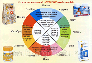 Литовит М, средство от аллергиии № 1, порошок, 50 г - фото 5 - id-p80850625