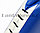 Лапа-ракетка для тхэквондо  двухсторонний барабанный синяя, фото 5