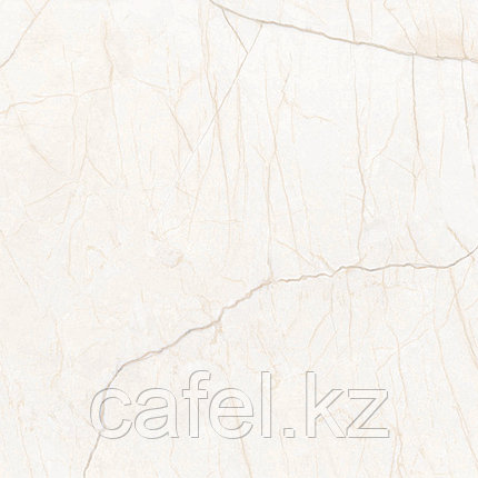 Керамогранит 60х60 G231 Iset Elegant MR, фото 2