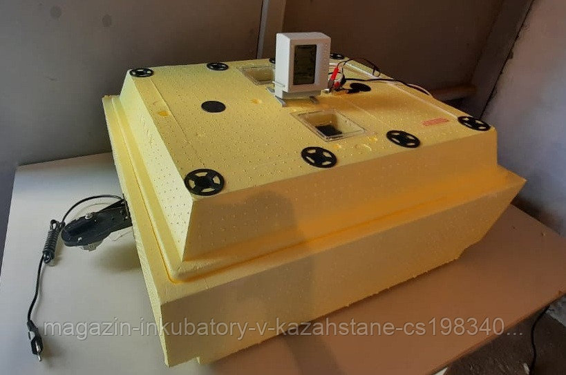 инкубатор золушка 2020